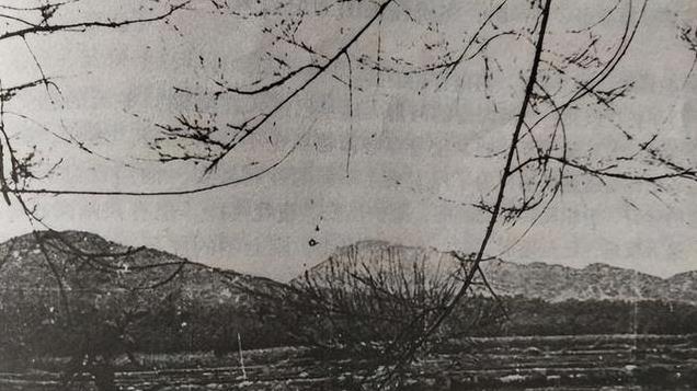 1950年，张才千密令剿匪部队：奔袭冉家坡，坚决消灭悍匪田彩臣