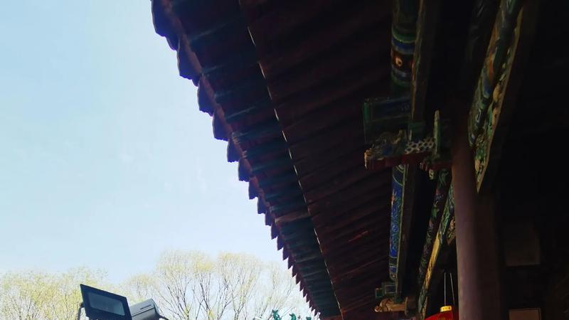 神头泉漫游笔记：在华北第一泉眼，成为地质、历史与记忆的探索者