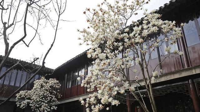 苏州限时美景重现，打卡新地标，旅行爱好者必去之地