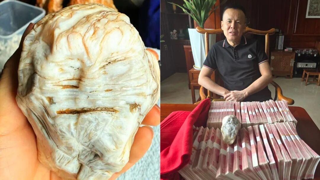 白给你50万，拿不走是你不中用，2.2亿猴王打假事件持续发酵