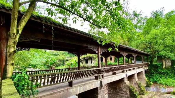 浙江那么多古村，却唯独被这个田园古村落惊艳了，住一年也不会腻