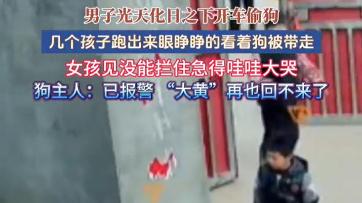 男子光天化日开车偷狗，女孩急得大哭