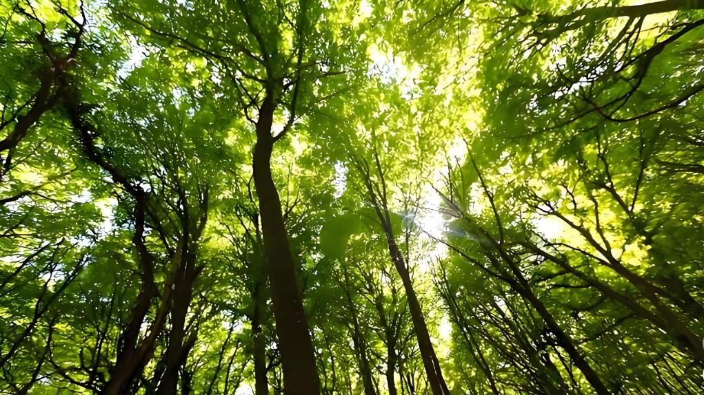 节能升级！PVT光伏热泵系统如何助力酒店绿色转型？