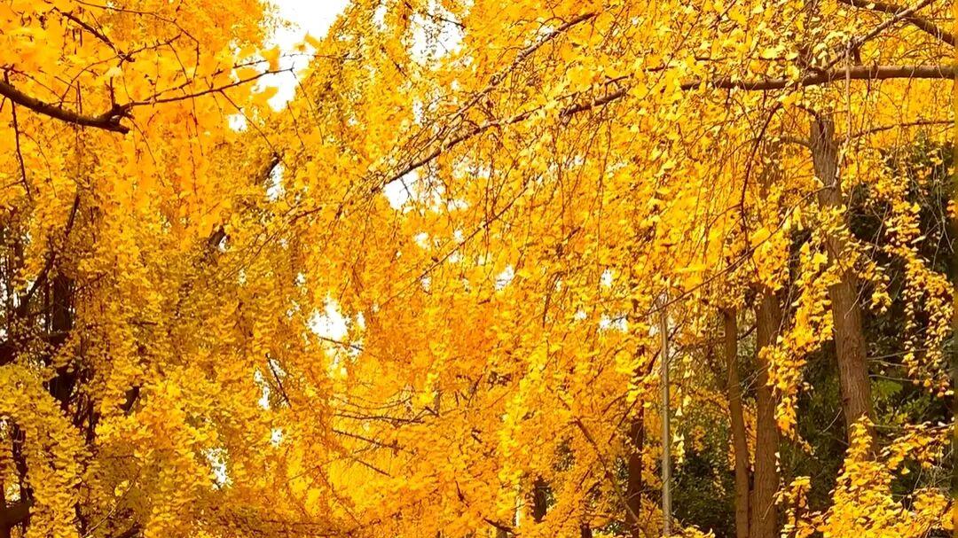 藏不住啦！金牛这些地方必须给你点“颜色”看看→