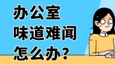 办公室味道难闻怎么办？这些妙招帮你快速改善空气