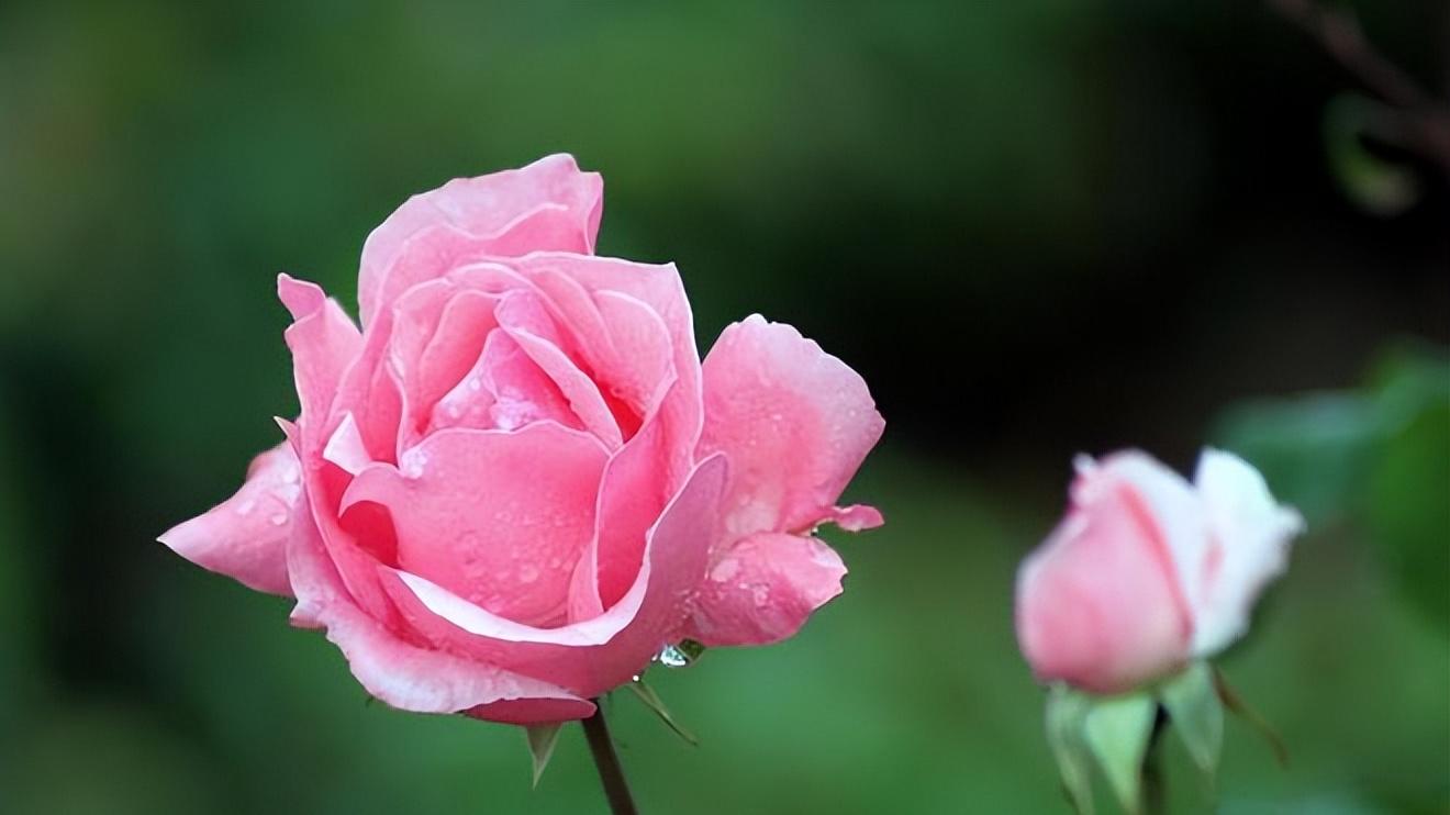 记住，人生，要保持“盼头”