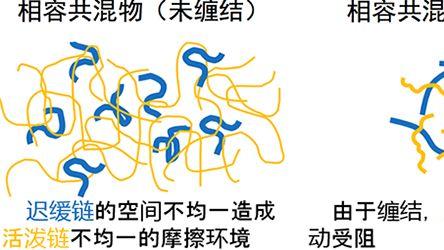 什么是玻璃化转变温度（Tg）？