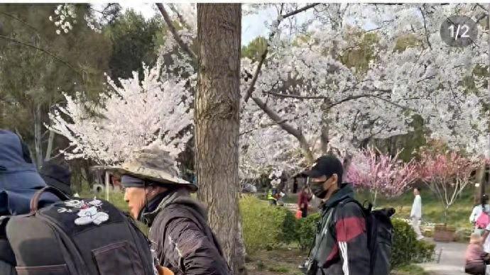 李现加入公园打鸟大爷队伍，网友：设备不如大爷