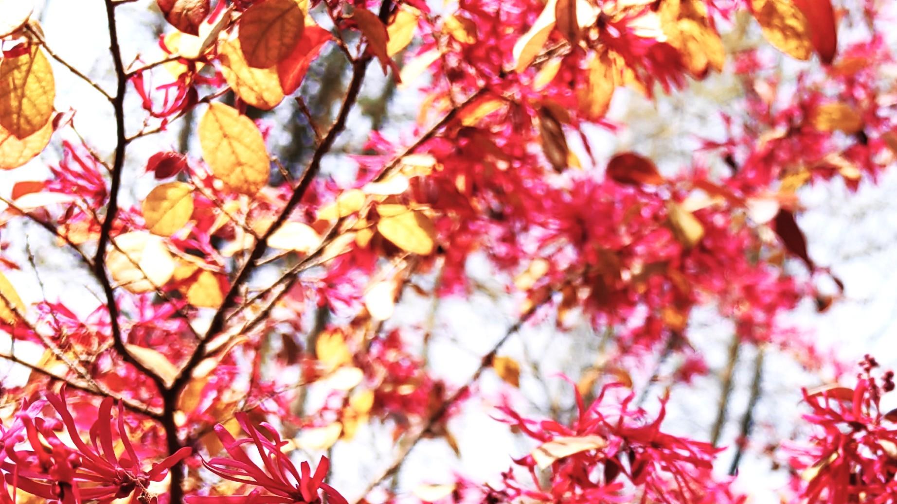 人在职场：指教别人，别太随便