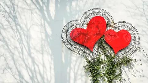 好的爱是这样的