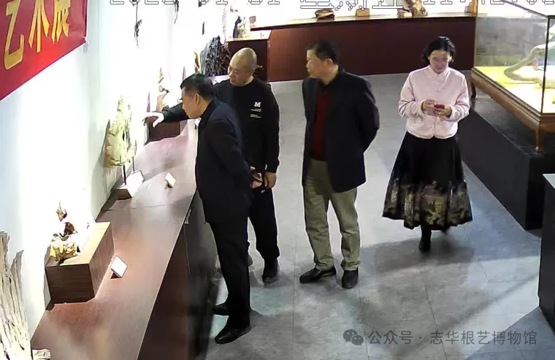 莆田市陈氏委员会会长一行参观博物馆，共鉴文化与精神传承