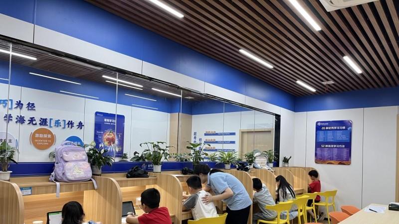 从高速增长到高质量发展：AI智习室的行业变革与挑战