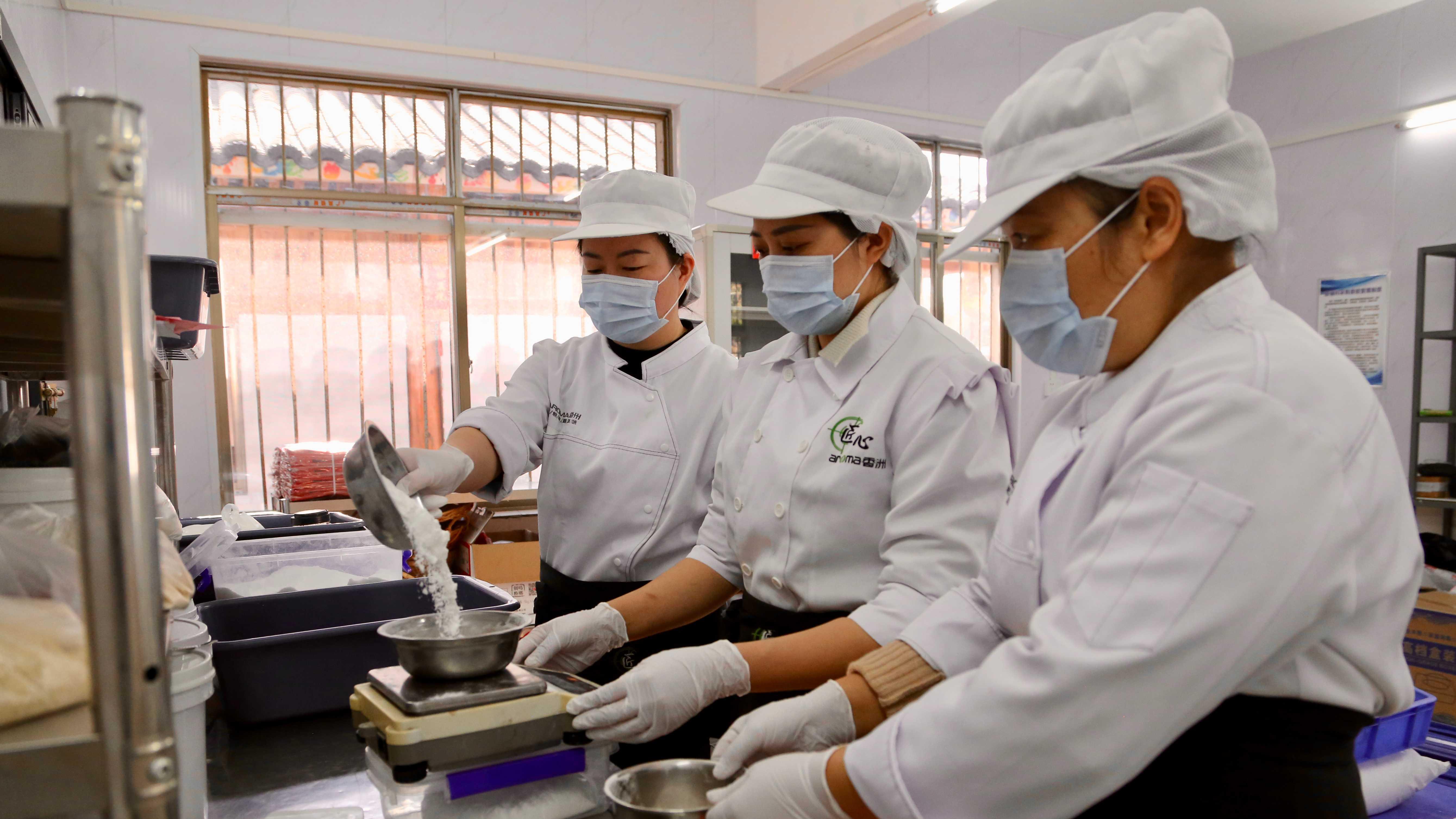 融安大将镇：立足农业特色产业优势，推动金桔产业高质量发展