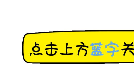 2025 藏满惊喜：机器狗伴中秋，宠物专属影院成养宠人社交密码！