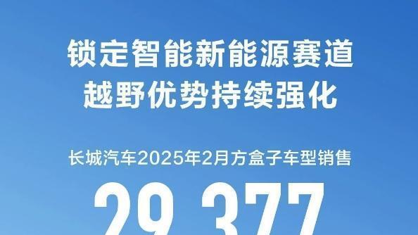 比亚迪2月再登顶，吉利奇瑞长城同比大增但环比下降