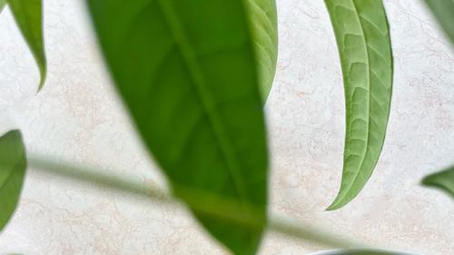 上热搜进阶指南：话题类型、时间窗口与后续运营