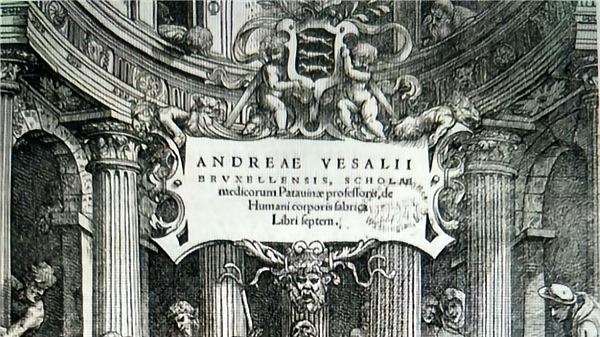 从规律到养育：我们如何从“凭感觉”走向“凭依据”