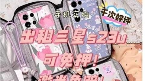 合伙做演唱会租手机生意，半年回本50万元