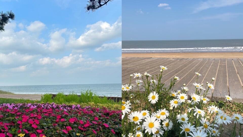 假期日照旅行，三天游玩18个景点