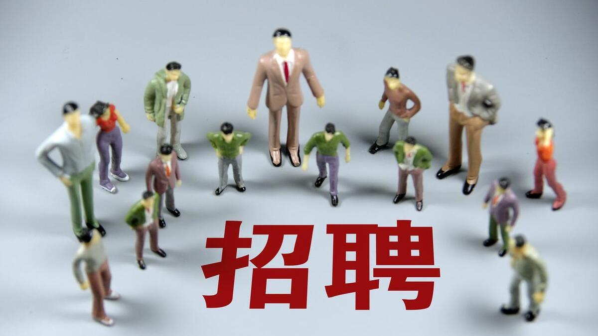 2025年校招王炸！2.8万实习岗+万人录用计划，技术人才成