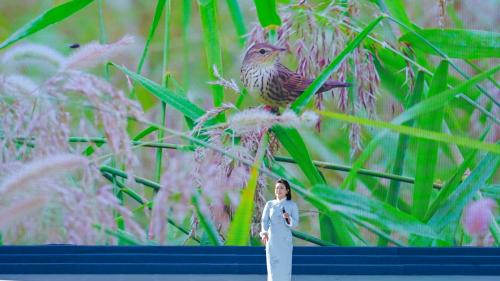 “V蓝北京”走进北京森林百鸟音乐会，奏响绿色生活乐章