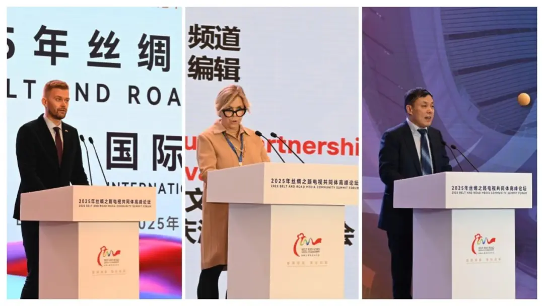 2025年丝绸之路电视共同体高峰论坛国际合作项目推介会在阳江举办