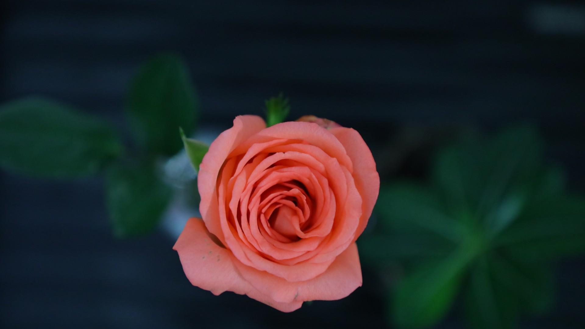 女人有出息的4大迹象，中了2个以上就厉害了，看看你有几个？