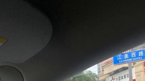 起猛了！成都街头惊现130斤“拉布拉多猪”，这届年轻人把宠物猪活成了“精致猪生”