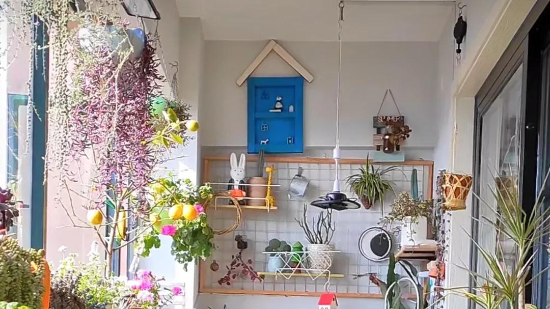 阳台上的生活，真的好治愈。