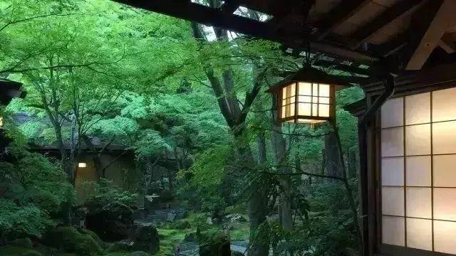 2025奔赴日本开展酒店 + 餐饮服务考察