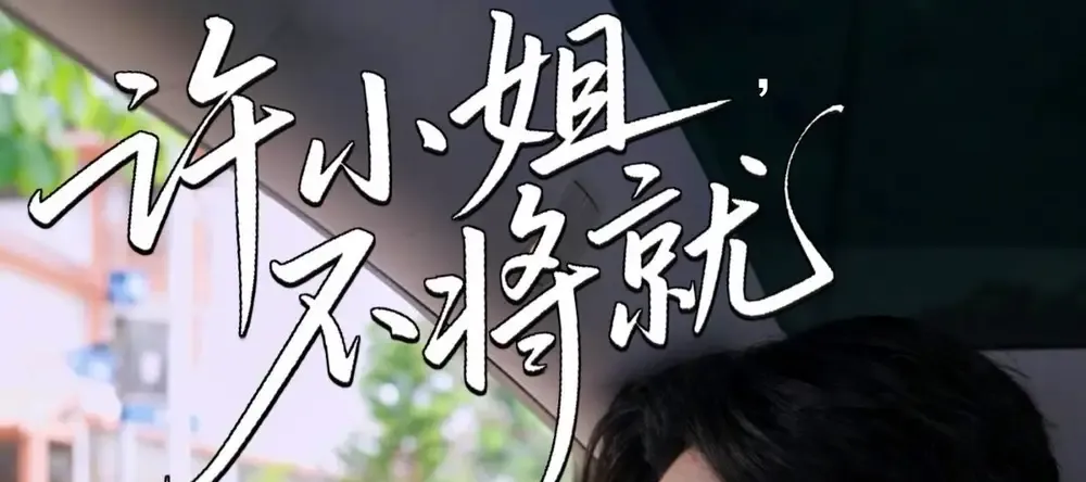 短剧《许小姐不将就》许小姐不将就揭秘家庭温情与挑战