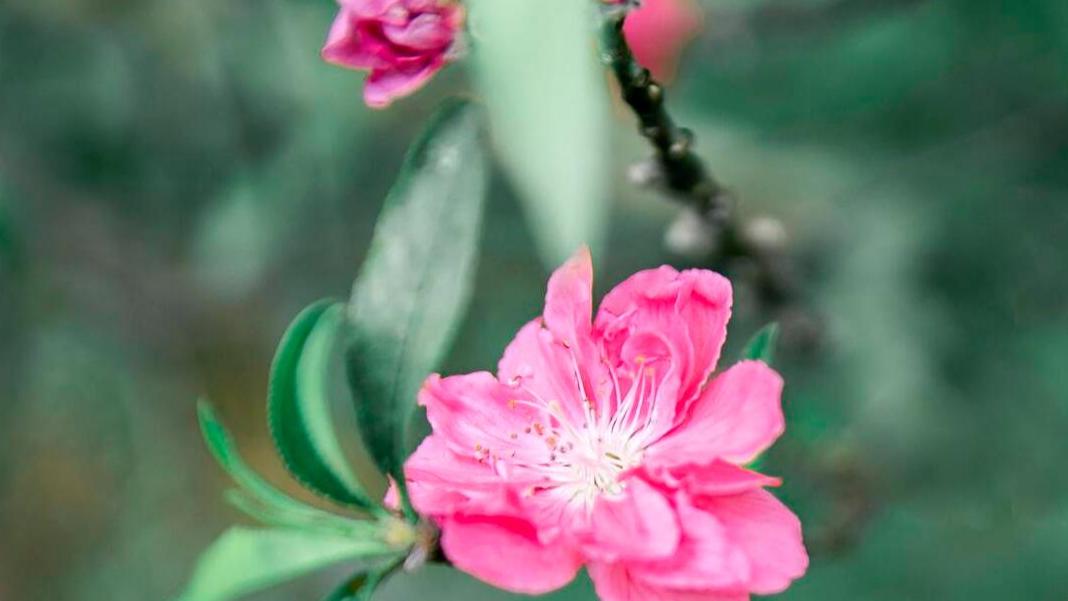 这几个星座，只要是下了心，下了苦功夫，就一定能出人头地