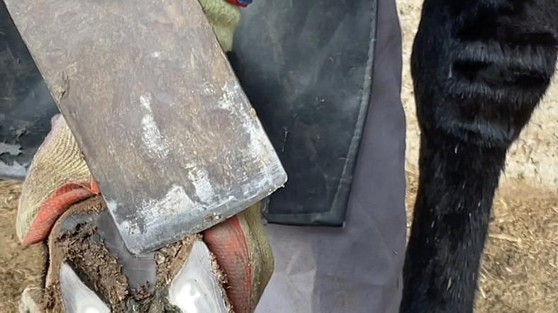 告别“盲掏”时代，西圣FindX可视挖耳勺深度测评