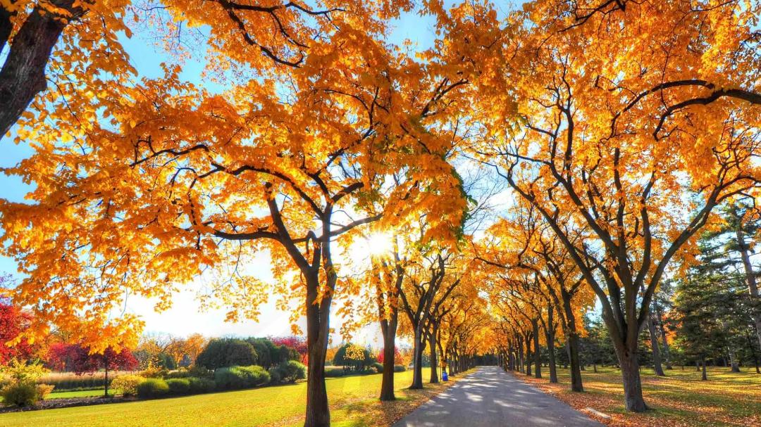 春节我给孙子和龙凤胎外孙各发1000元红包，本以为很公平，儿媳的话让我很恼火