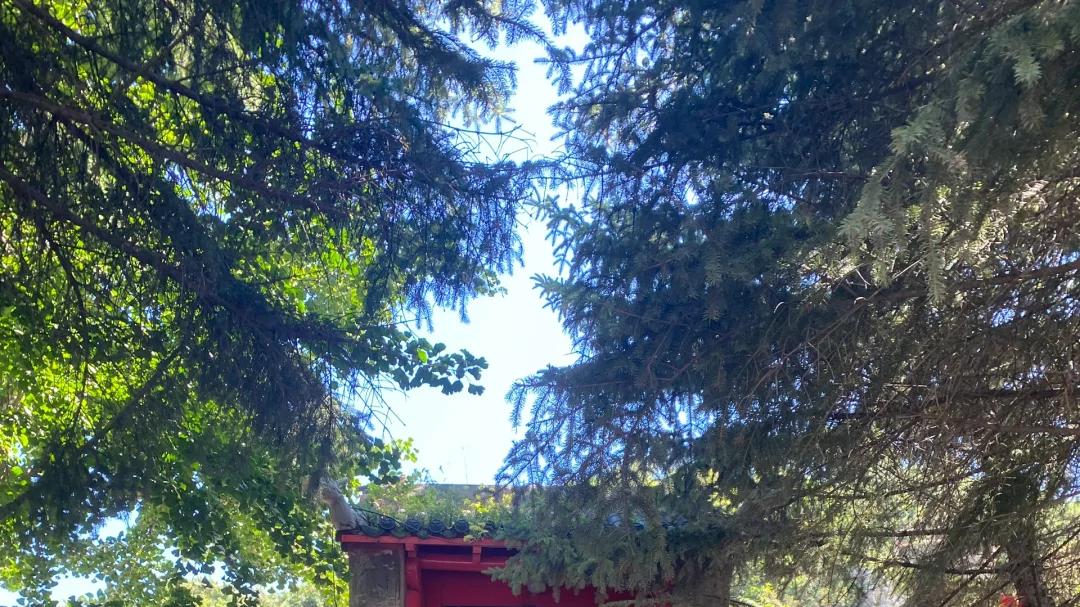 晋城古韵里的“天上宫阙” | 20XX晋城玉皇庙深度游玩攻略：在元代琉璃下触摸道教建筑的千年烟火