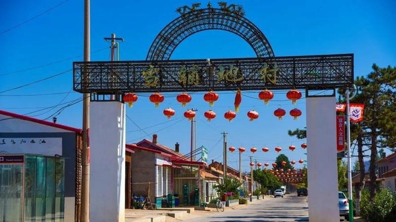 免费摘白菜，天底下有这等好事？