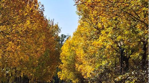 江南大学就业考研怎么样？就业升学“双线告捷”的双一流范本！