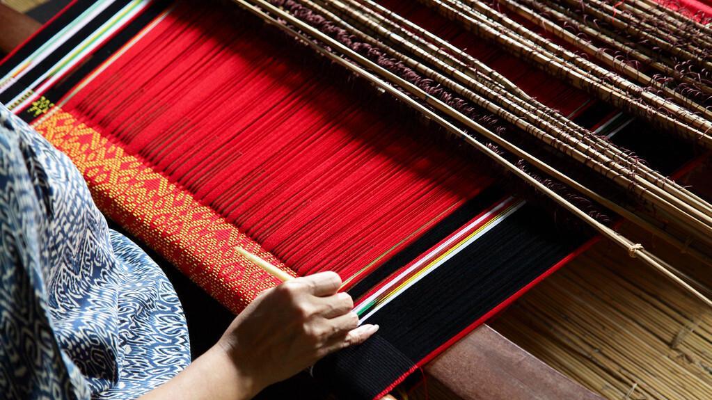 家家户户都种过的苎麻，为何现在却很少有人种植？