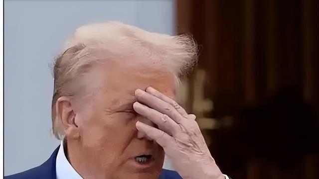 中美谈判有新动向？特朗普被“骂”破防，印度、欧盟纷纷对华发难