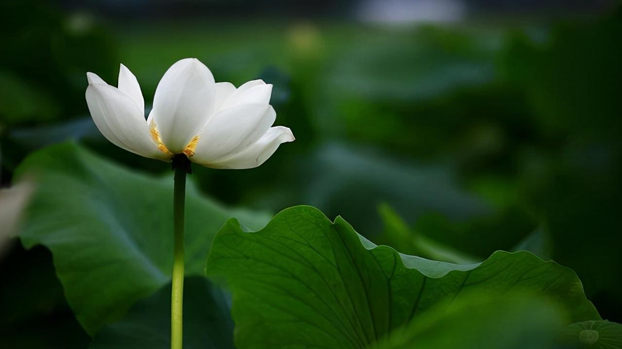 五十岁往后，这几种人能躲多远躲多远，不然有你后悔的！