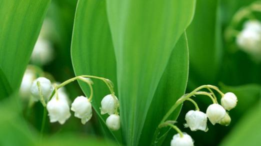 账户冻结还背356万“债”！甘肃平凉海螺1#窑项目民企陷绝境