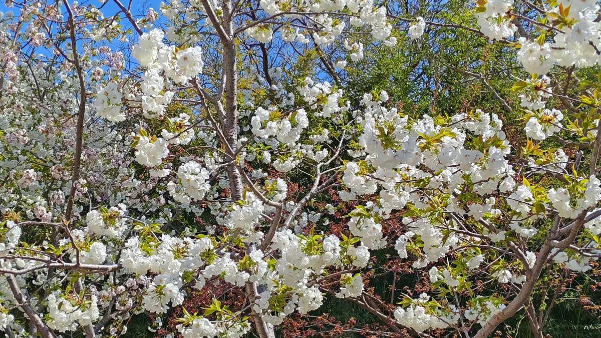 享受独处时光，成就优雅人生