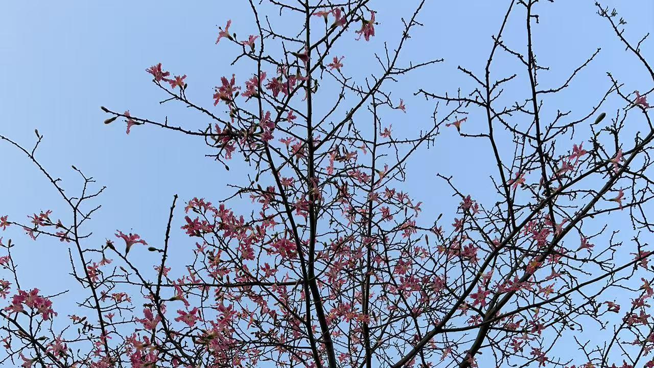 人生并没有周末和工作日之分