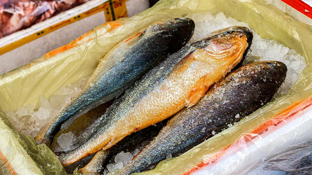 《“健身大黄鱼”游上餐桌！2025年“蓝色粮仓”成饮食新趋势》