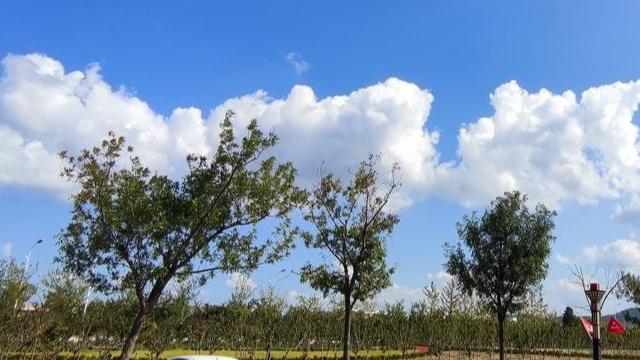 跨年夜的约定：新岁不必光芒万丈，但要好好爱自己