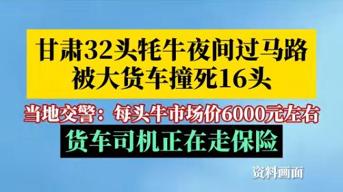 货车撞死16头牦牛后续，赔6000一头，网友疑惑半夜赶牛上马路动机