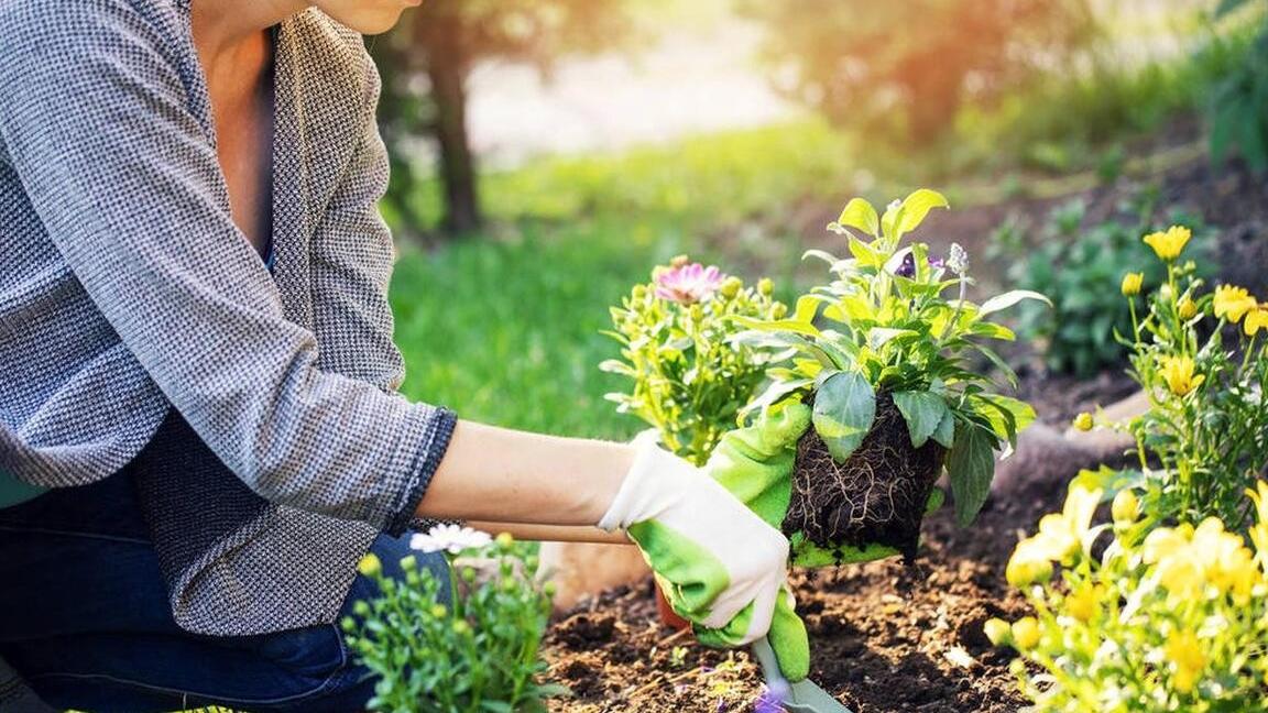 姑娘今年大二，辅导员突然来电，告诉我的消息，让我难以置信