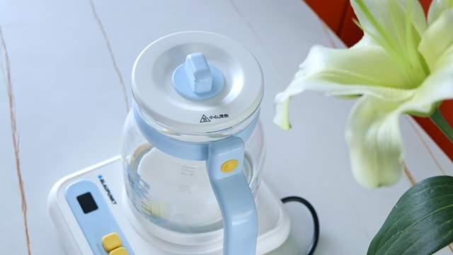 “能炖会煮”一机多用，养生就是这么简单：德国蓝宝ok泡养生壶