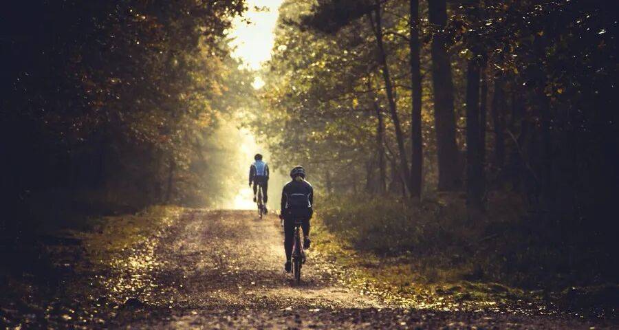 有家电企业再度遭遇多元化的败局