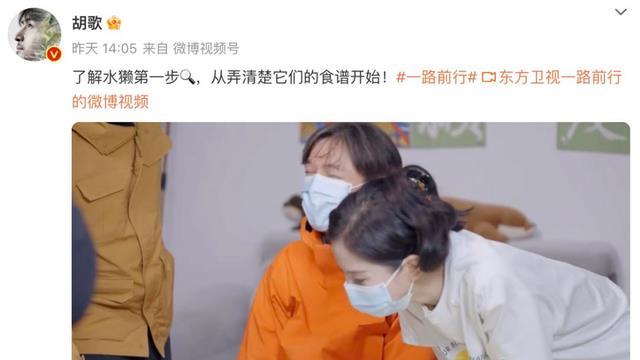 胡歌、刘诗诗罕见同框现“回忆杀”！网友：最磕龙葵和景天了